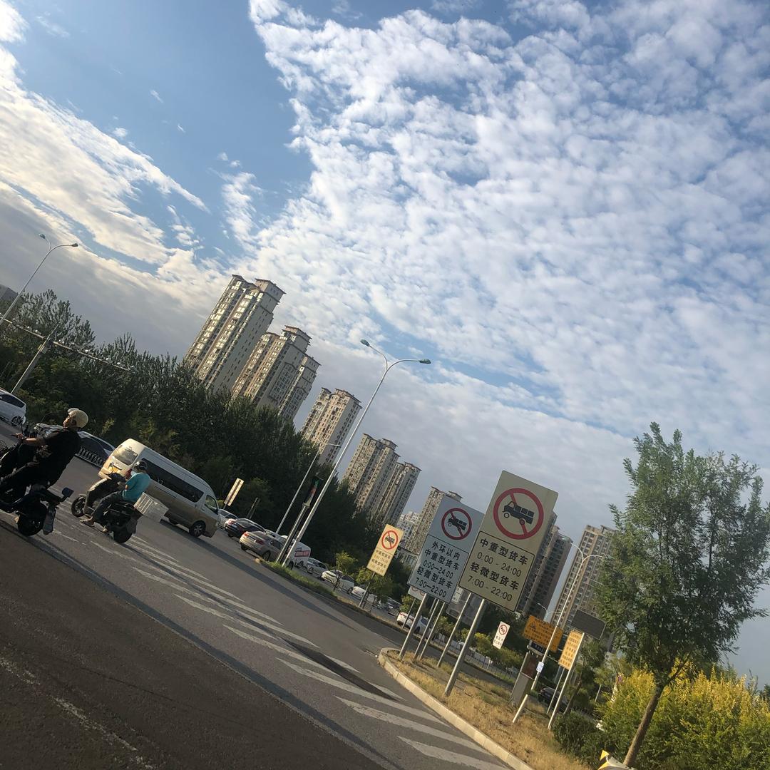 小鹤子