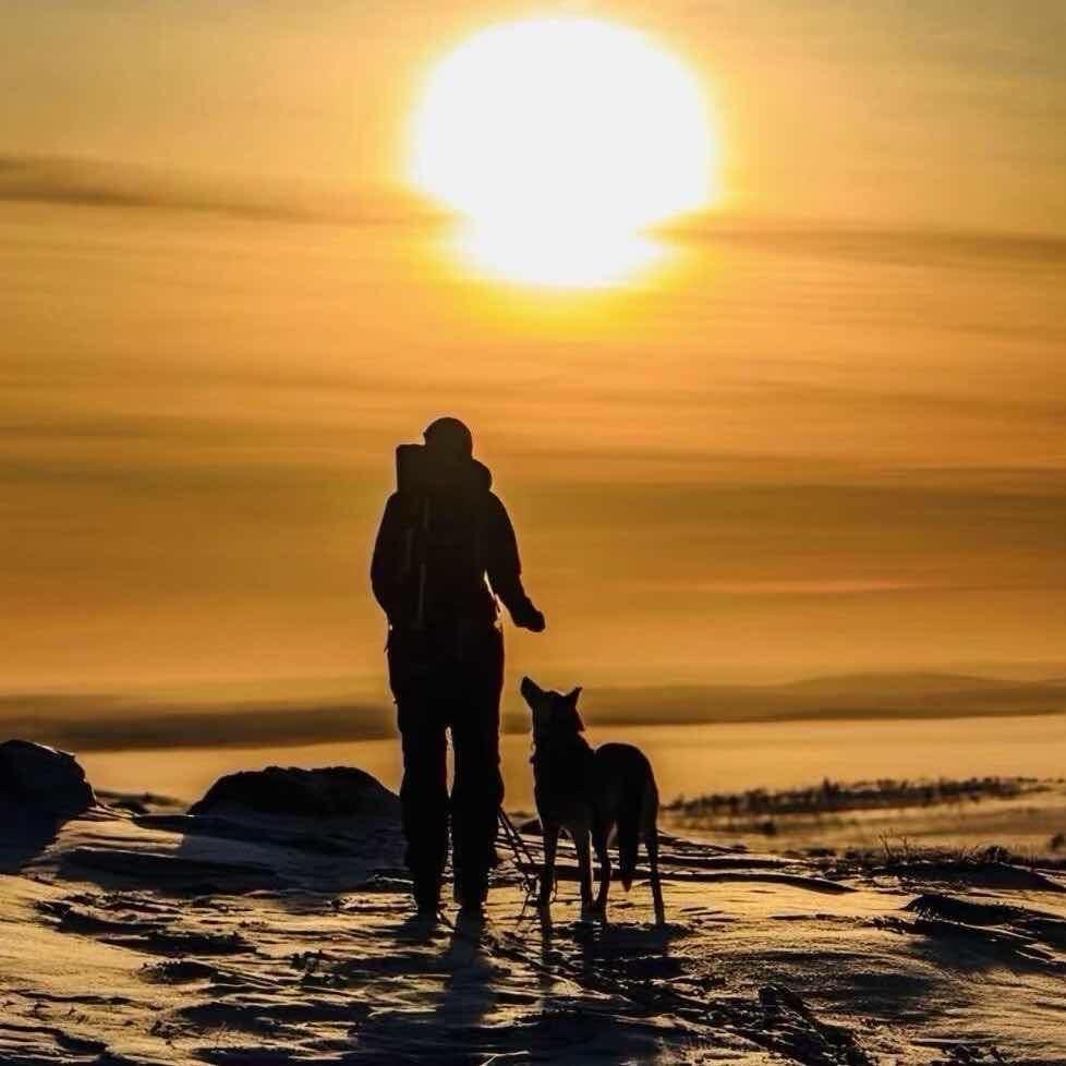 新疆宠物旅游酒店(主理人版）