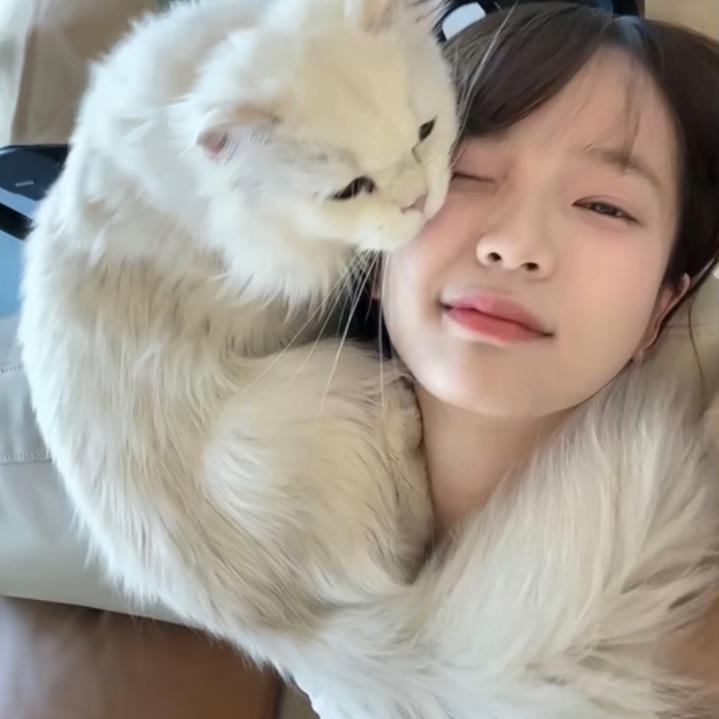 小丁不吃鱼o
