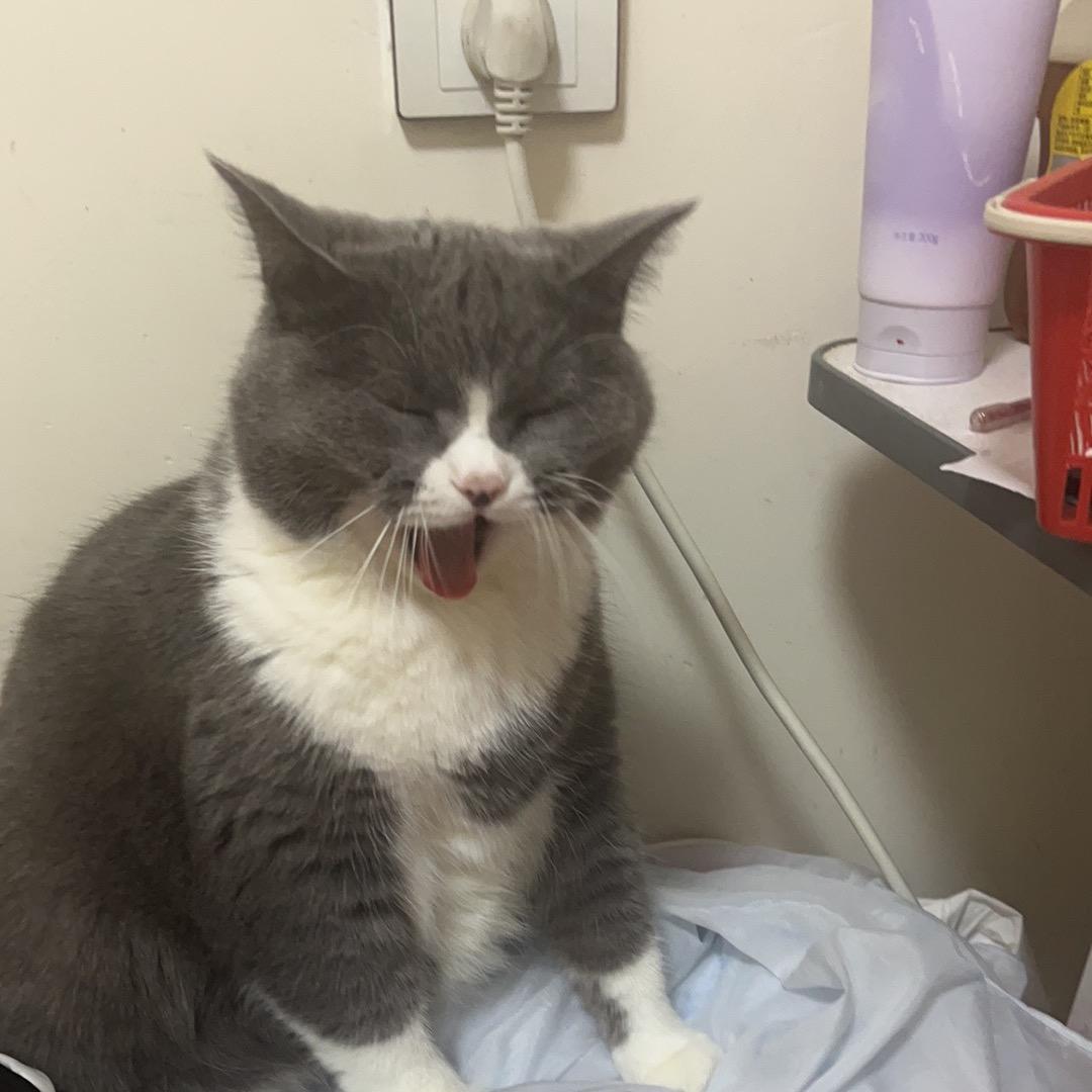 牛马数学张老师