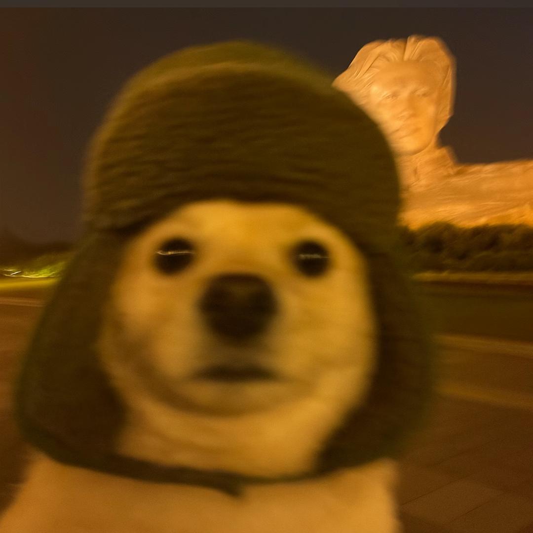 💥王炸