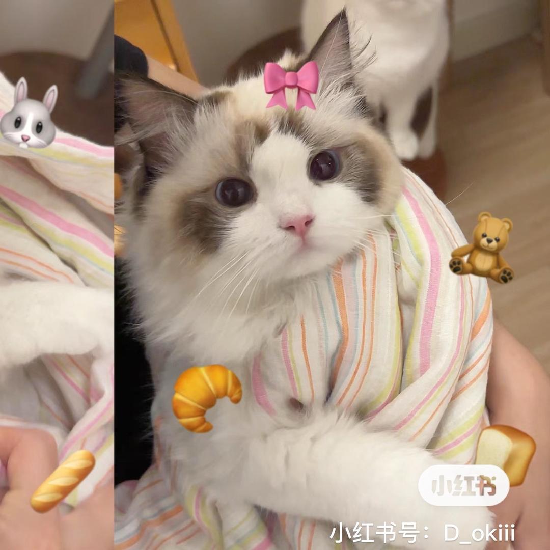 张喜茶