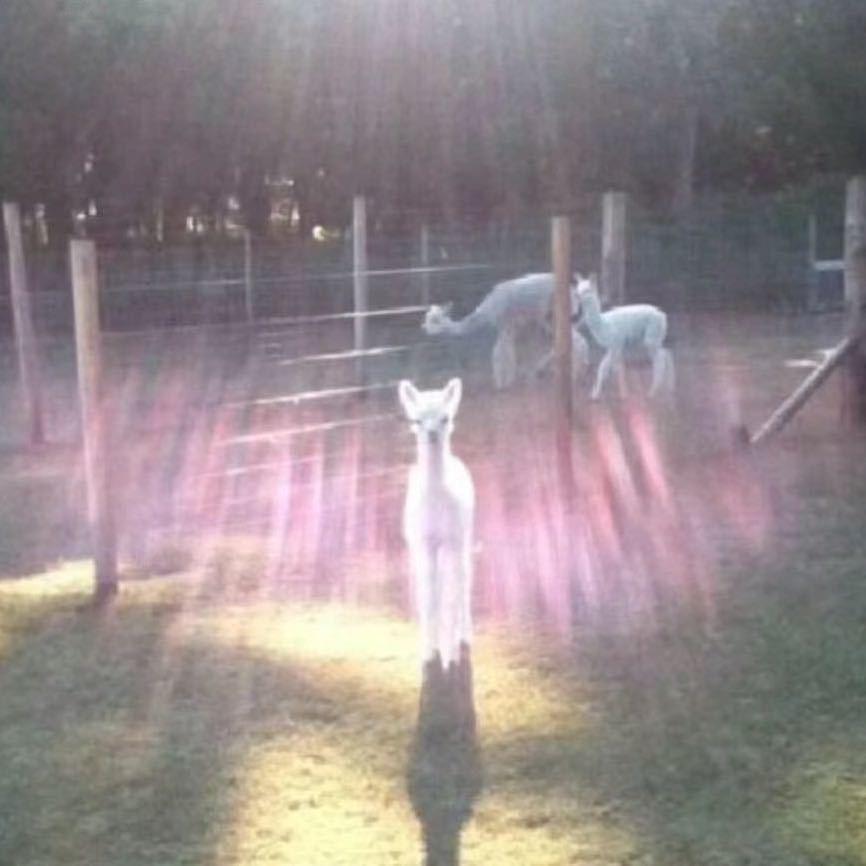 川工科宿舍美甲龑五612