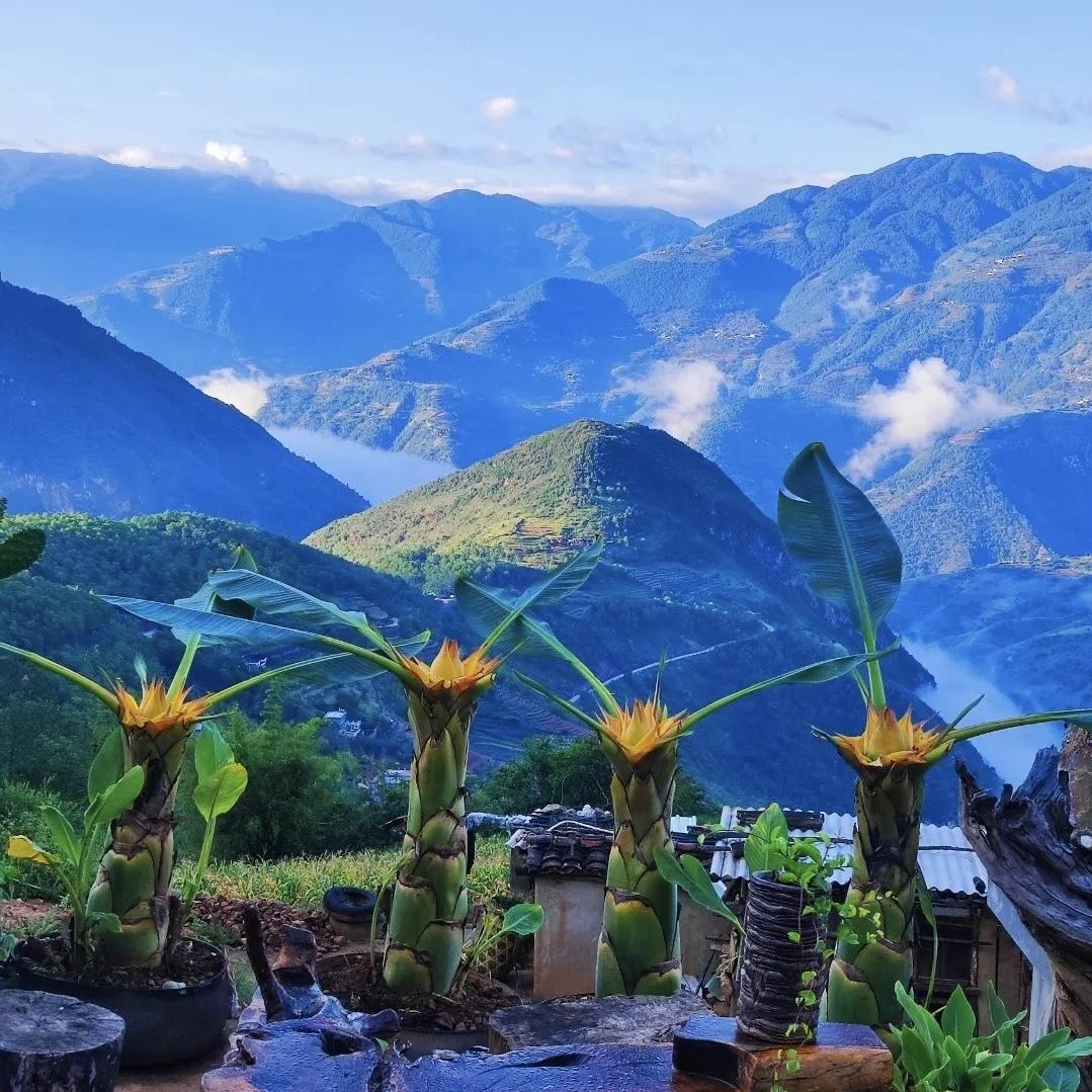 大云岭山货铺