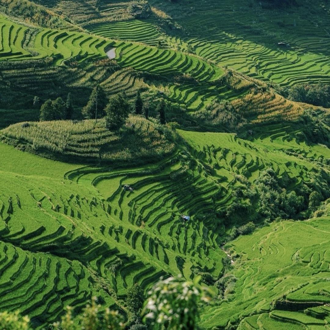 前夫和小三高几的那天晚上我的汉堡被淋湿了
