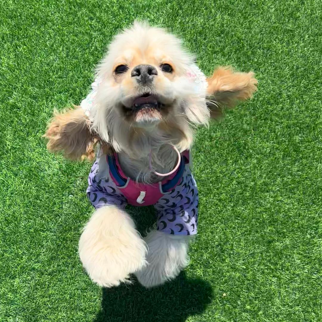 卡卡的生活