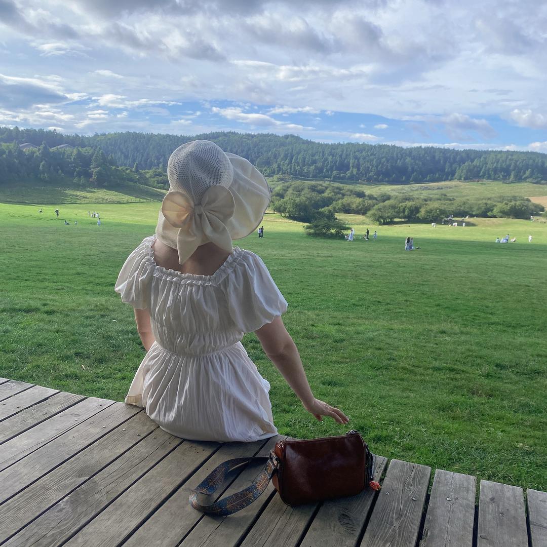 人生若只如初见