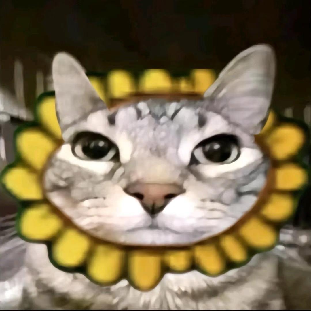 H3lnOthy