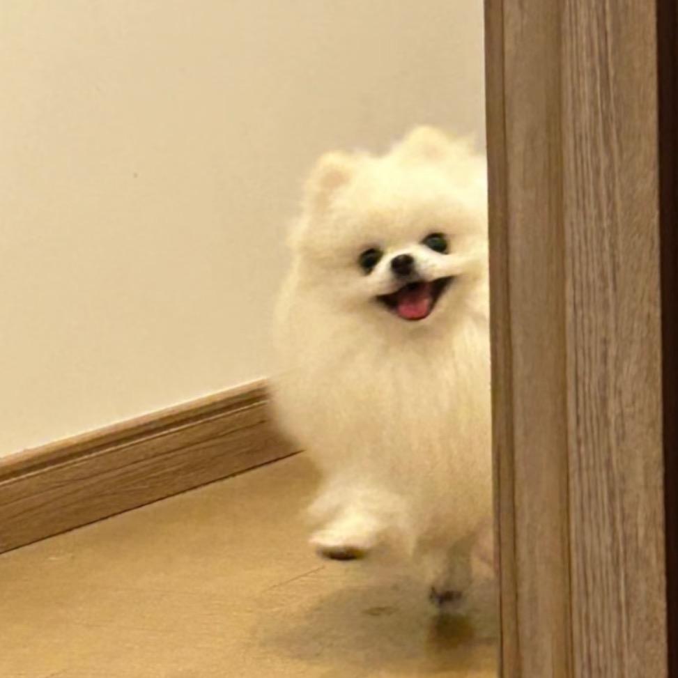 冰冰岛✨