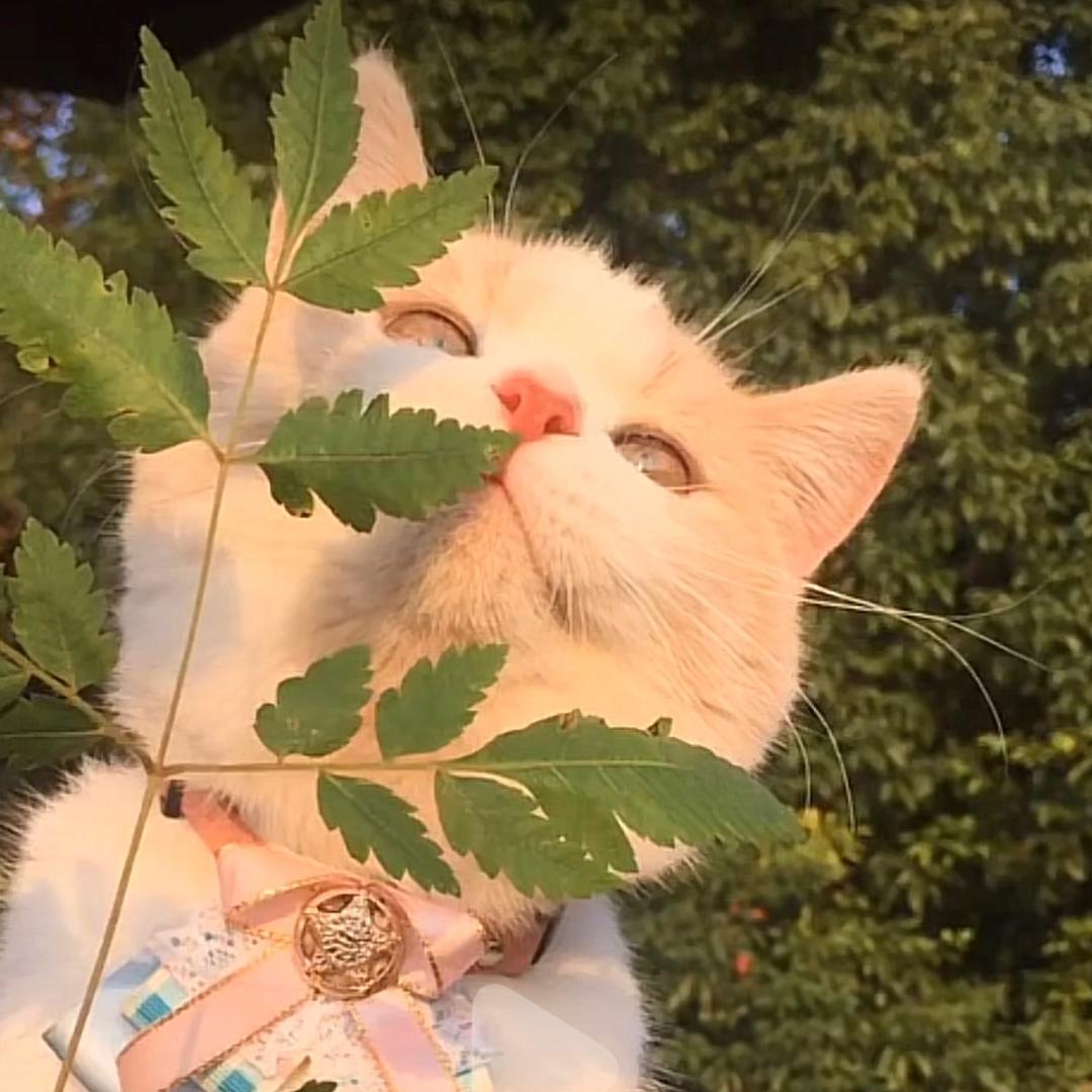 小山胖在旺旺家园