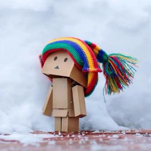 🐰蚊蚊ʕ•⚇•ʔ