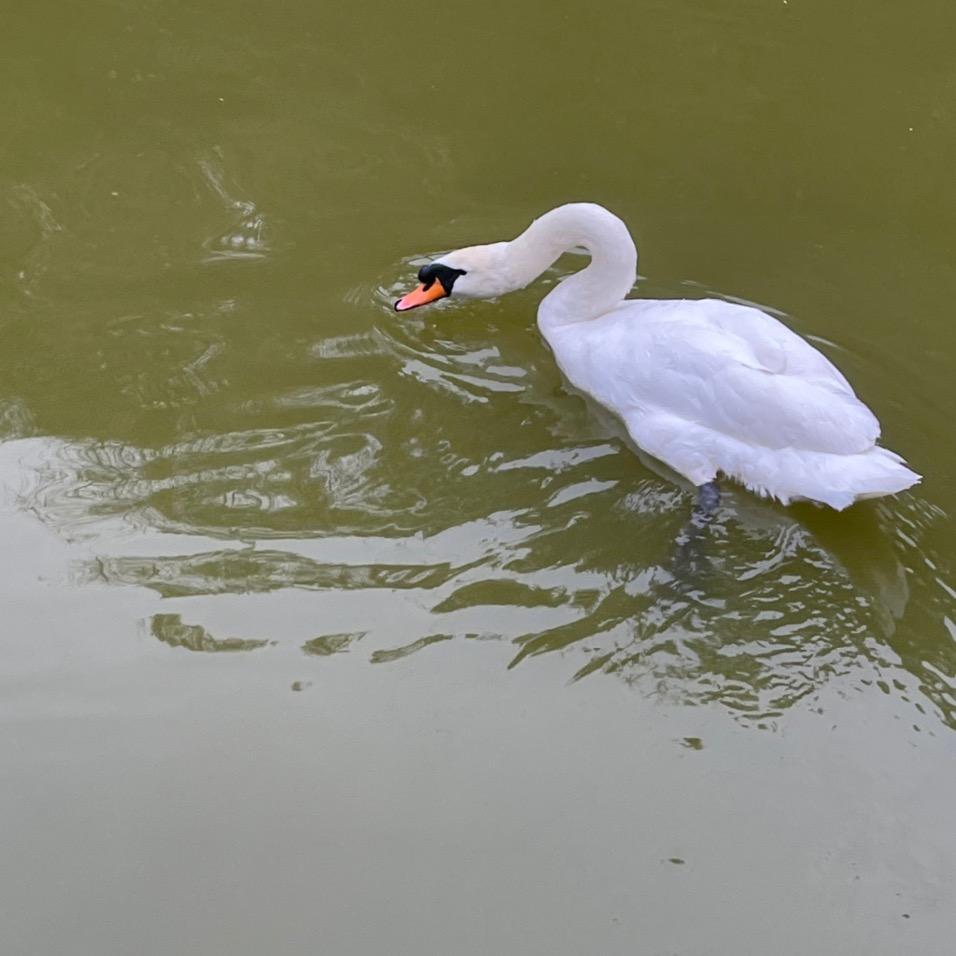 悠小悠生活馆