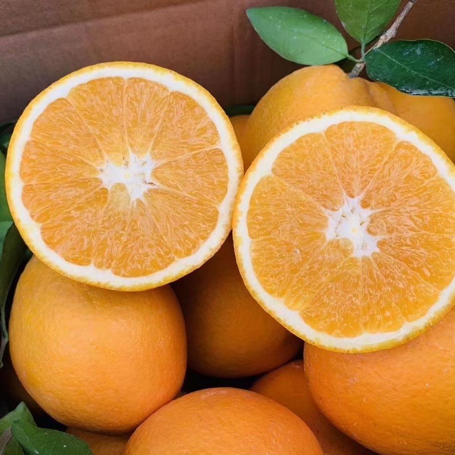 赣南脐橙🍊果园直发