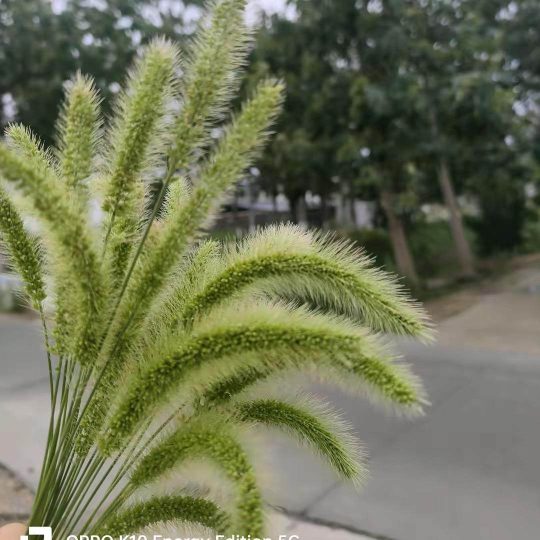 李老师哦