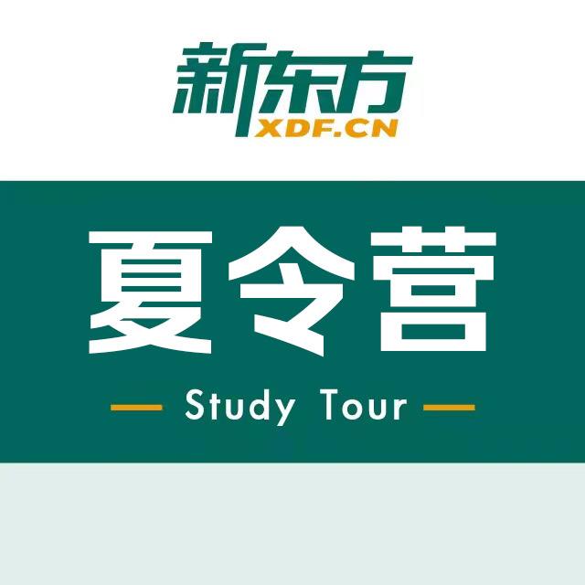 新东方夏令营