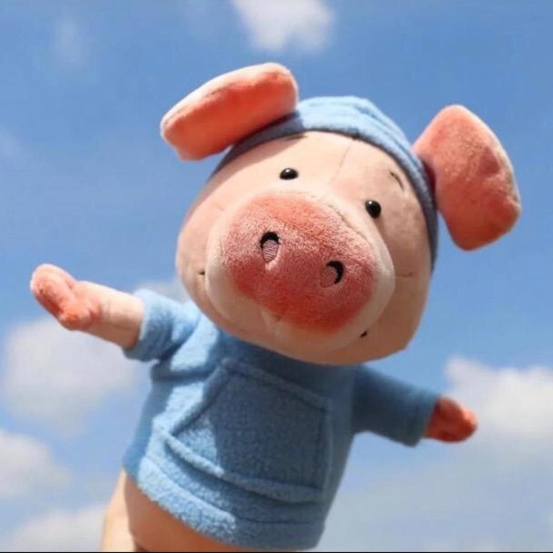 🐷……