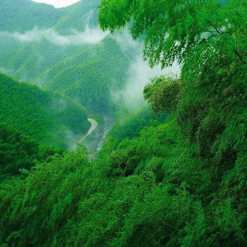 凡夫俗子