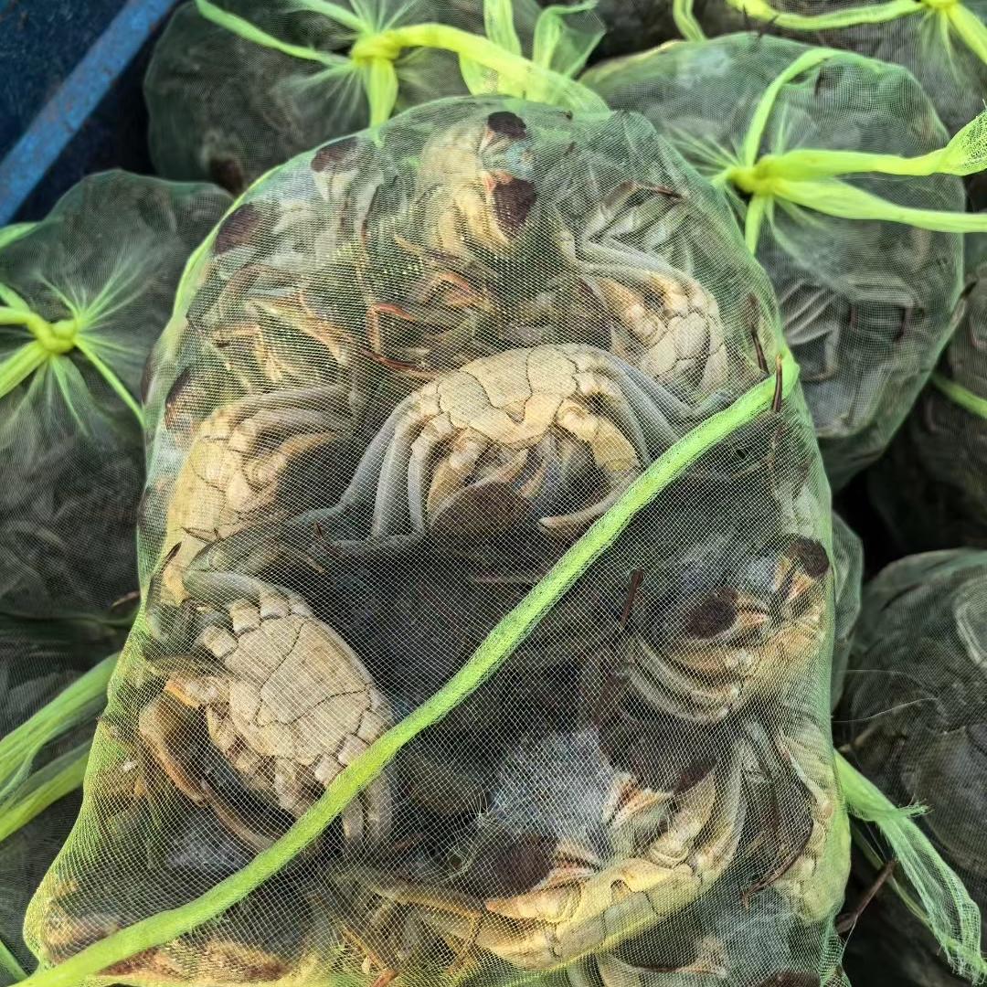 淮安市洪泽区虾鲜生水产品有限公司