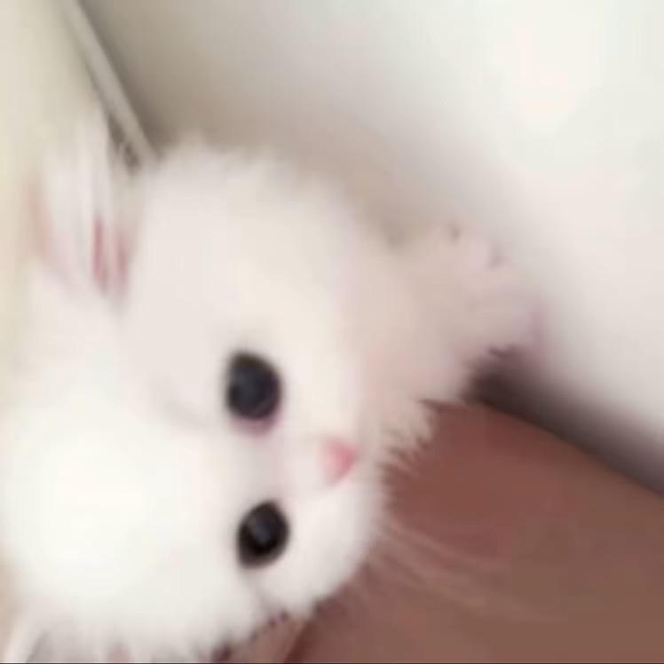 果.