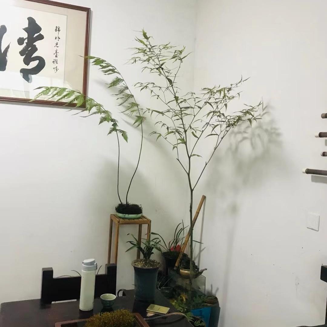 秋湖月夜