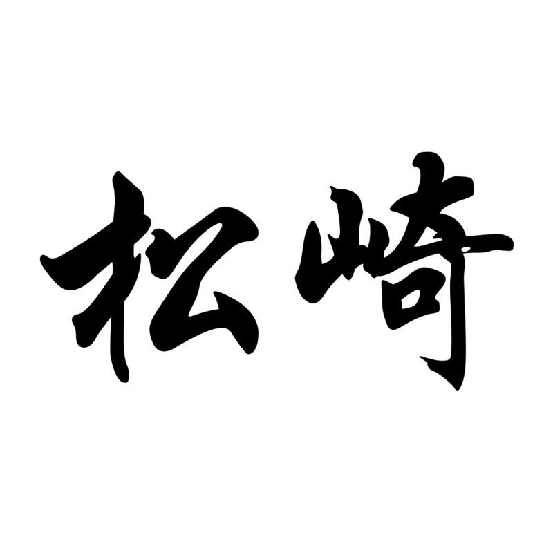 松崎运动户外旗舰店