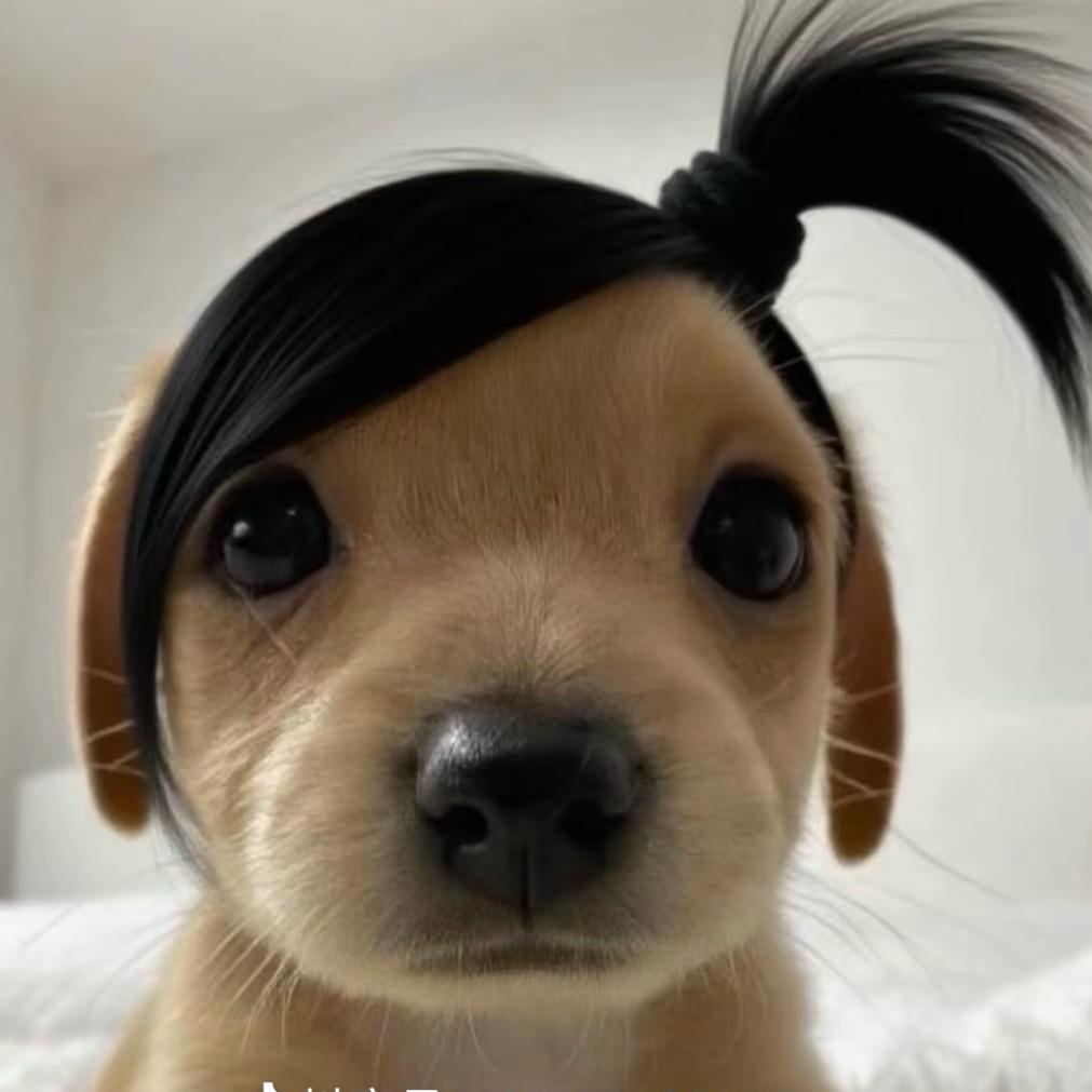 এ᭄爱财💞爱己