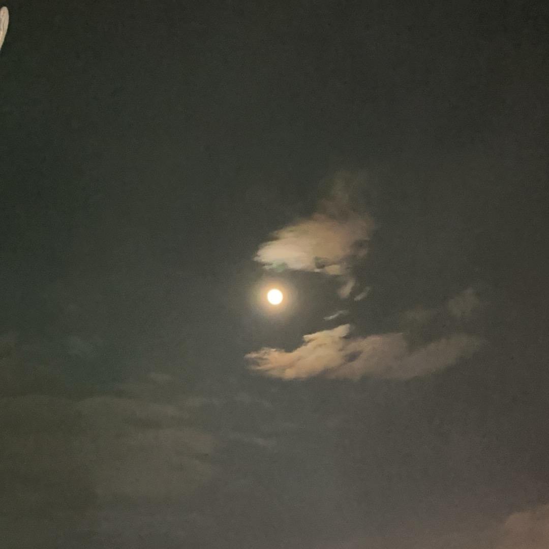 `～素颜控（努力之中）、