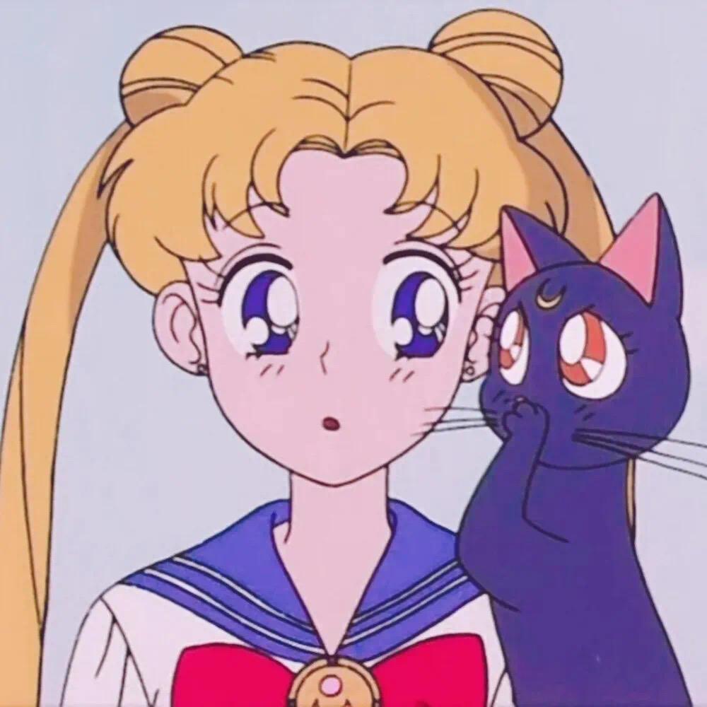 一只猫🫧