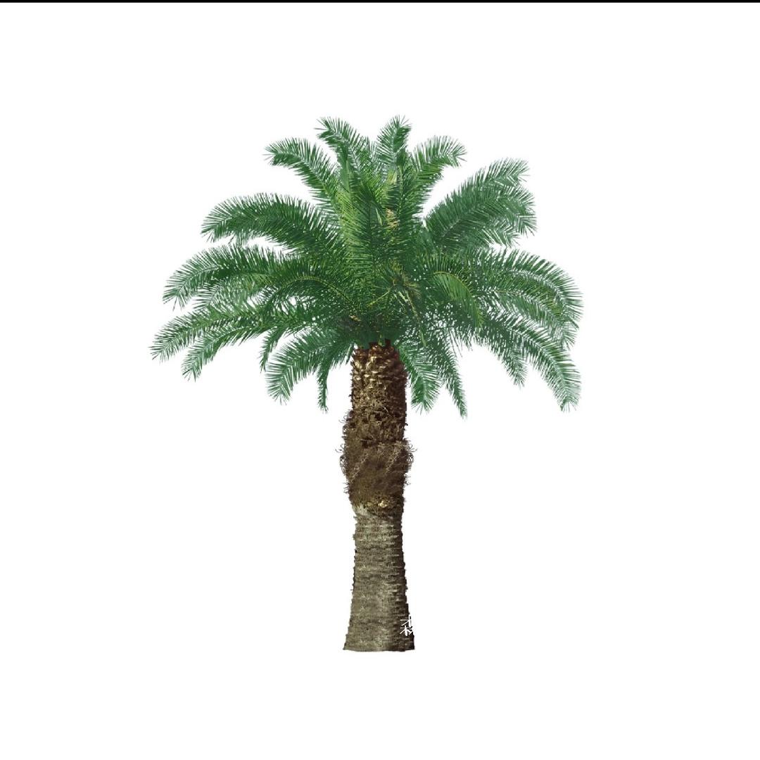 桃夭