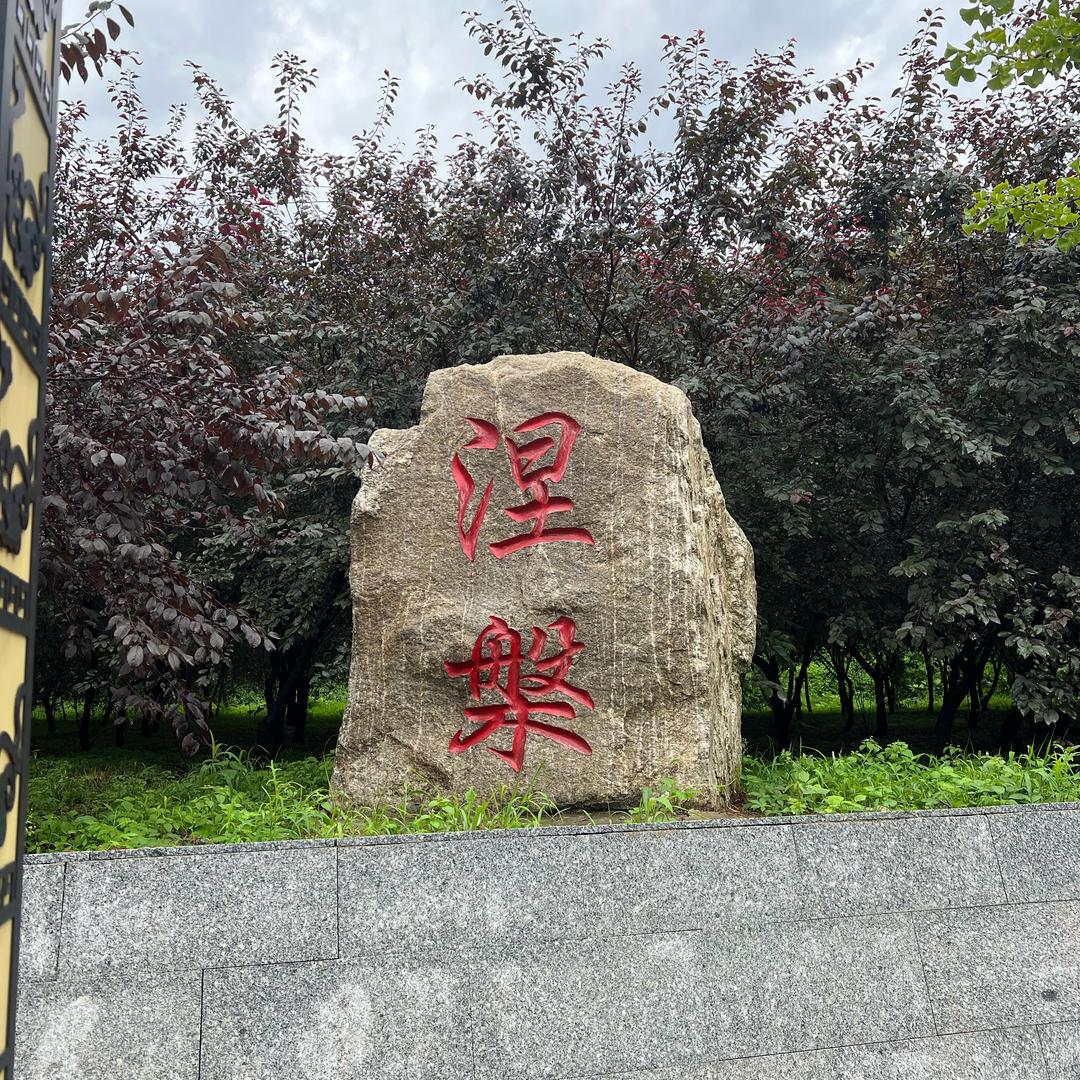 胖妹减肥记(初始体重160斤）