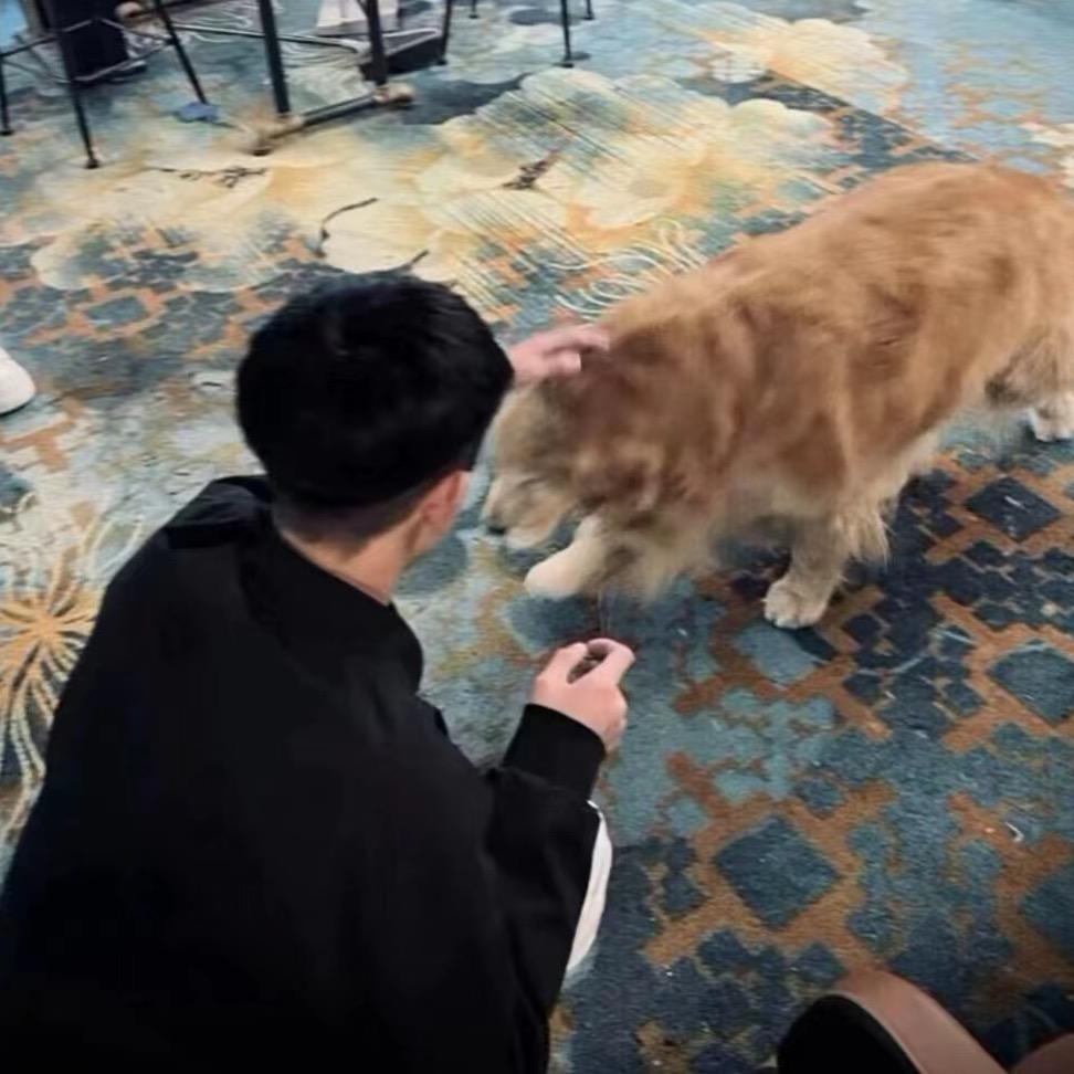 有🧊头像