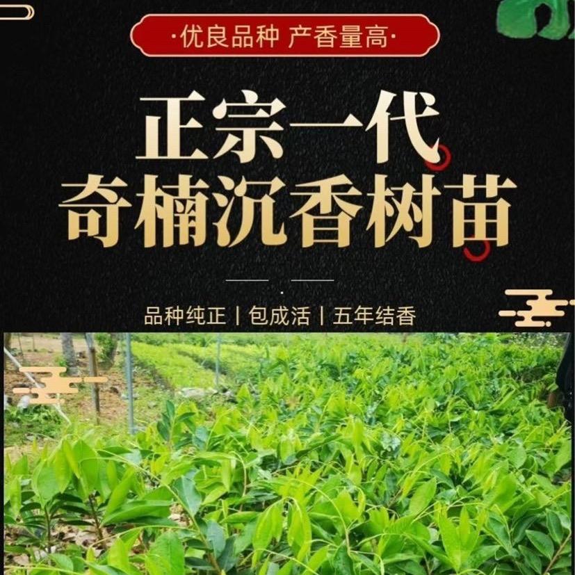 浓香友园林