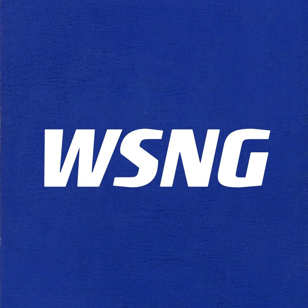 WSNG服饰旗舰店