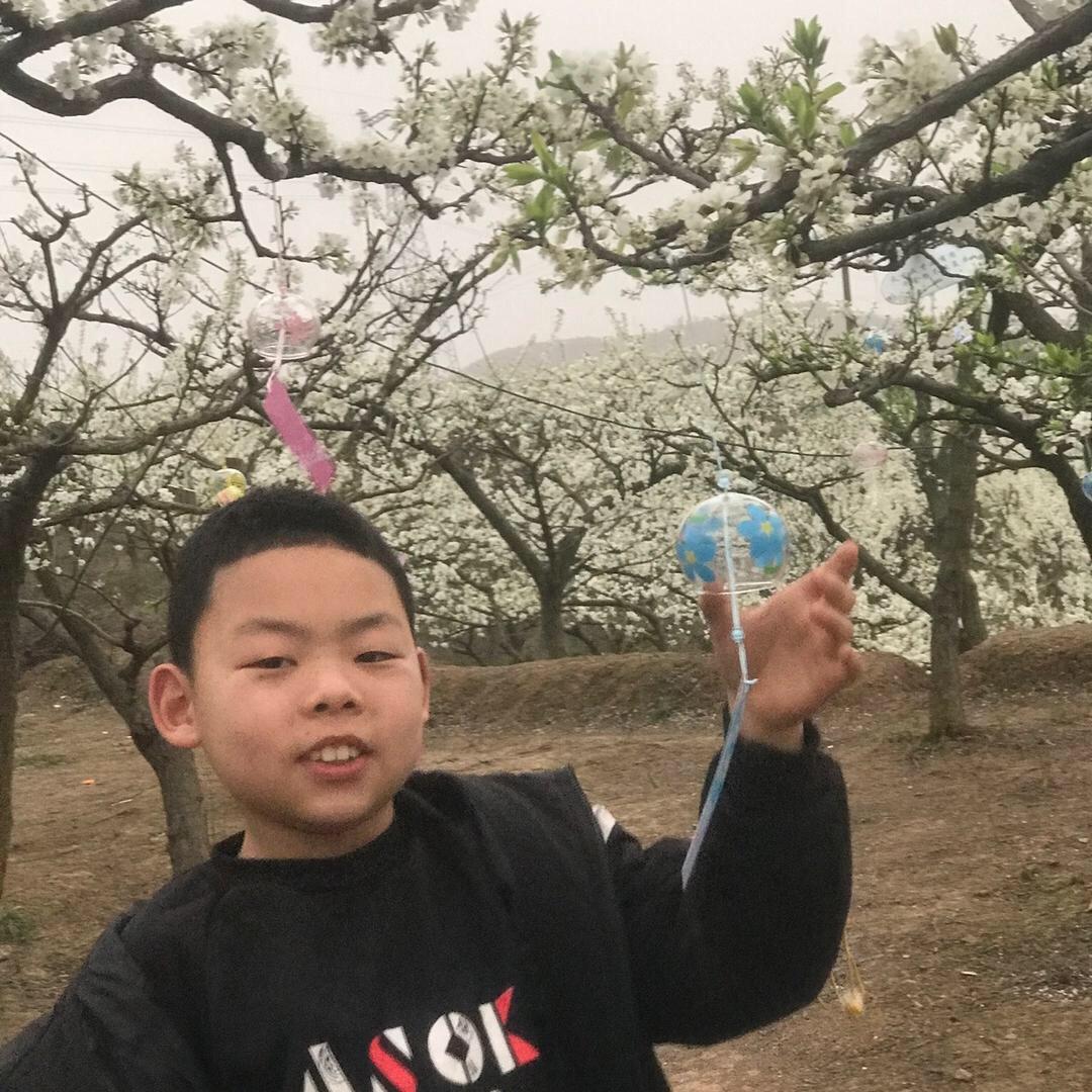 风中的狗尾草