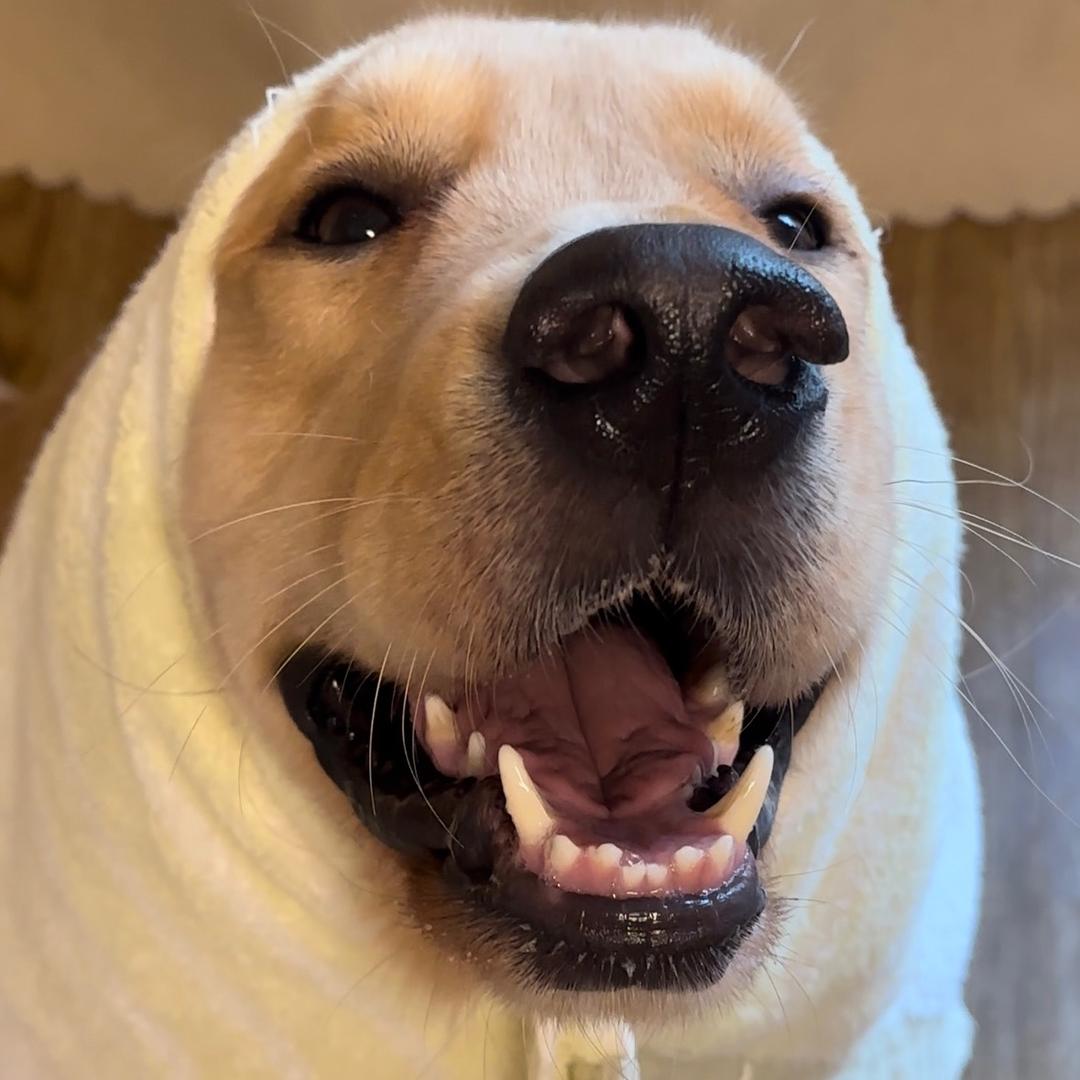 富贵的生活日记