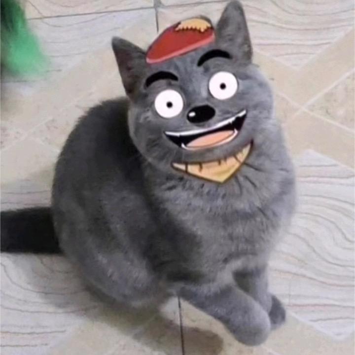 嘉文不吃饭
