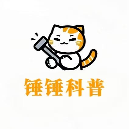 锤锤科普