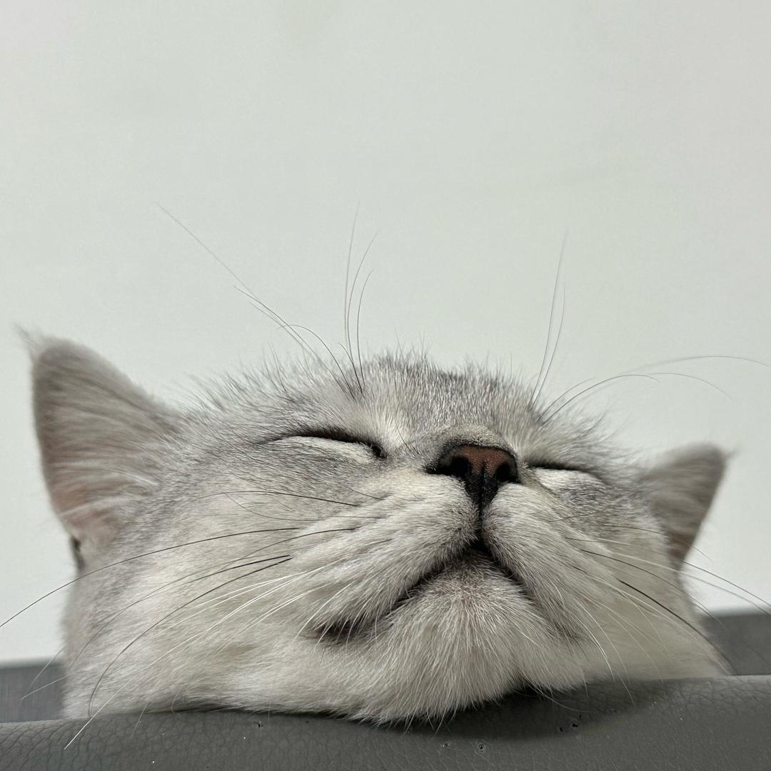 LLL