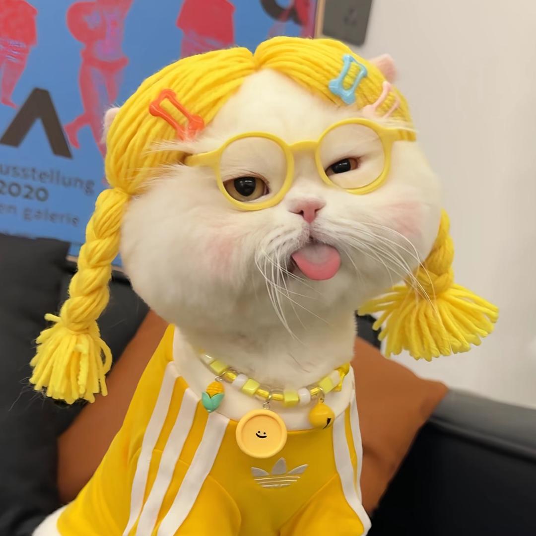 小扇子