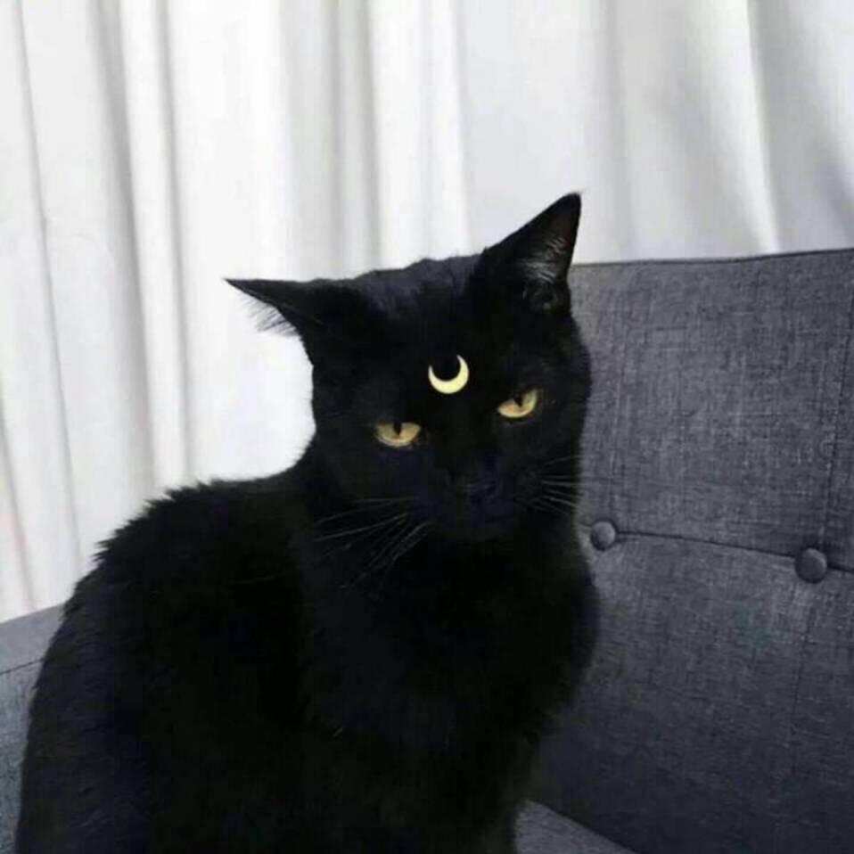 阿锐