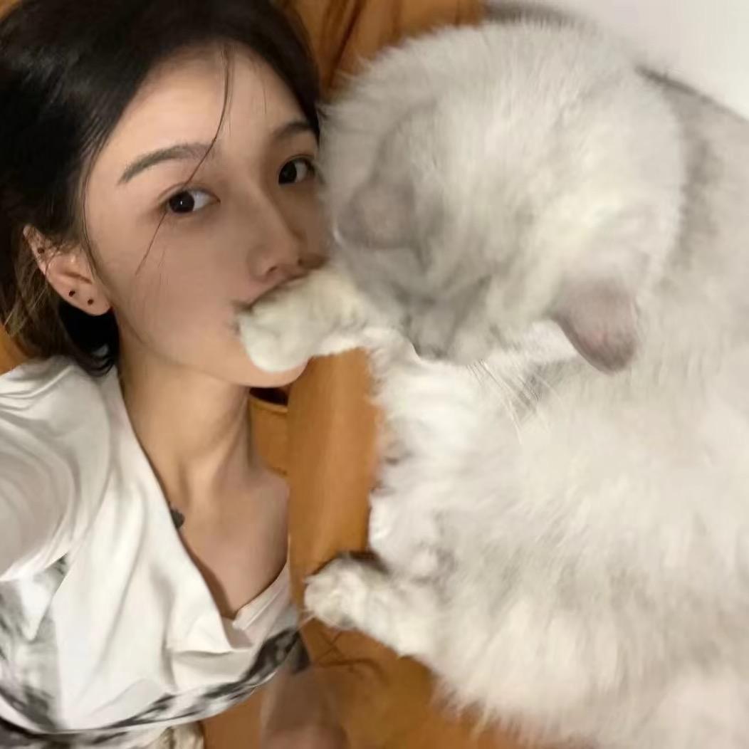 🍟Bubble🍌🕸️