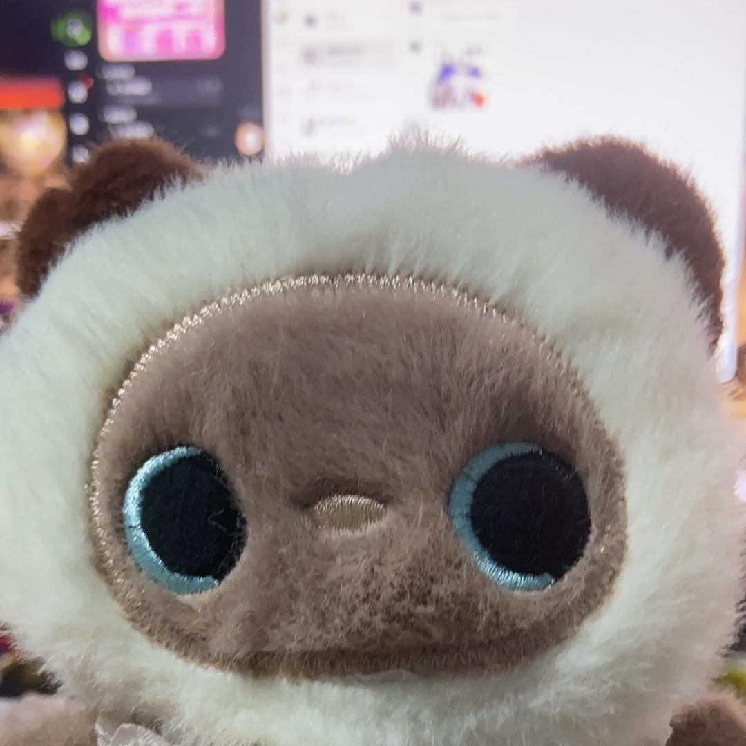 悲伤怯战老鼠