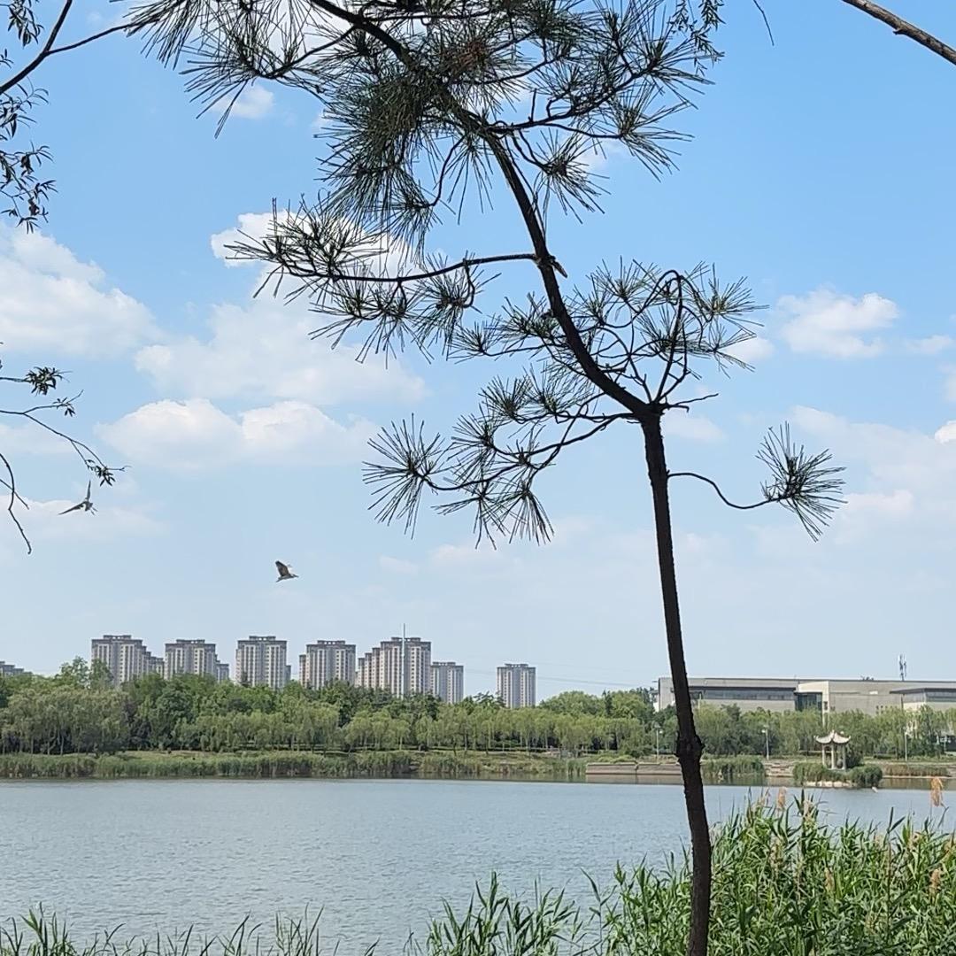 旭日🌄东升