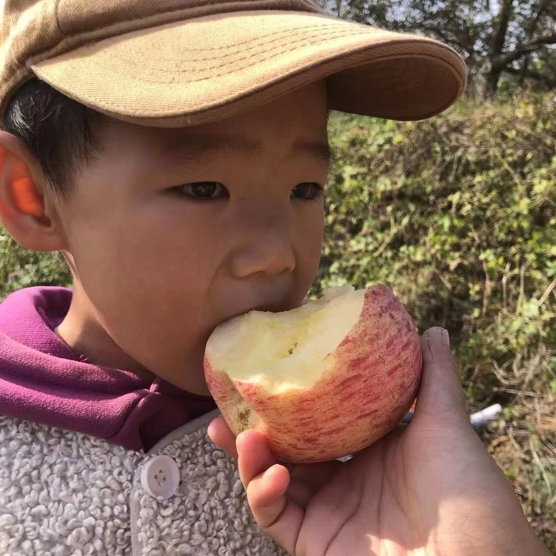 颖儿农产品