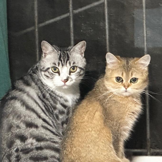 再看女频文就穿越进去吃苦