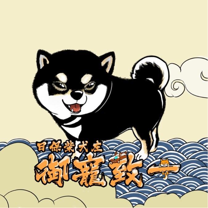 御宠致一柴犬NMSA豆柴