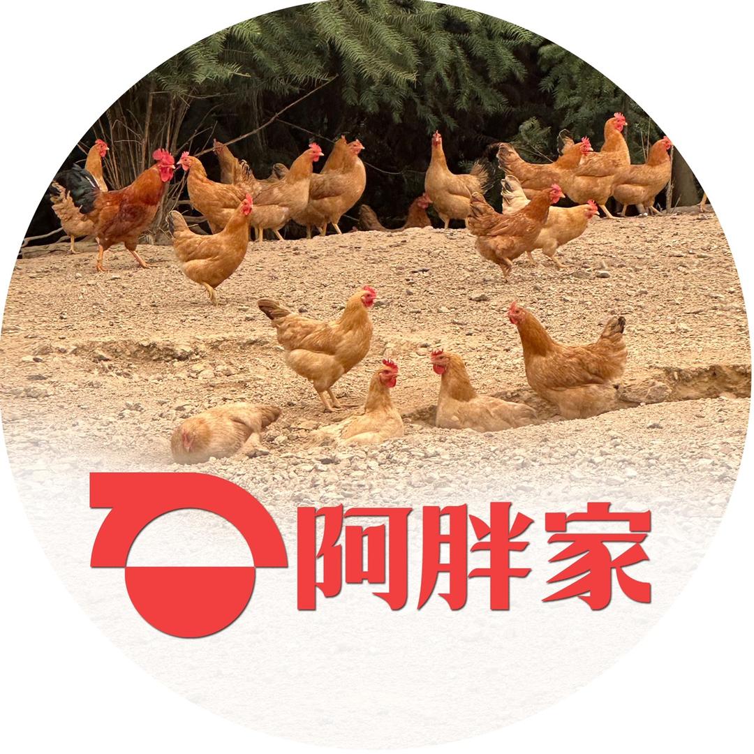 阿胖家的土鸡店