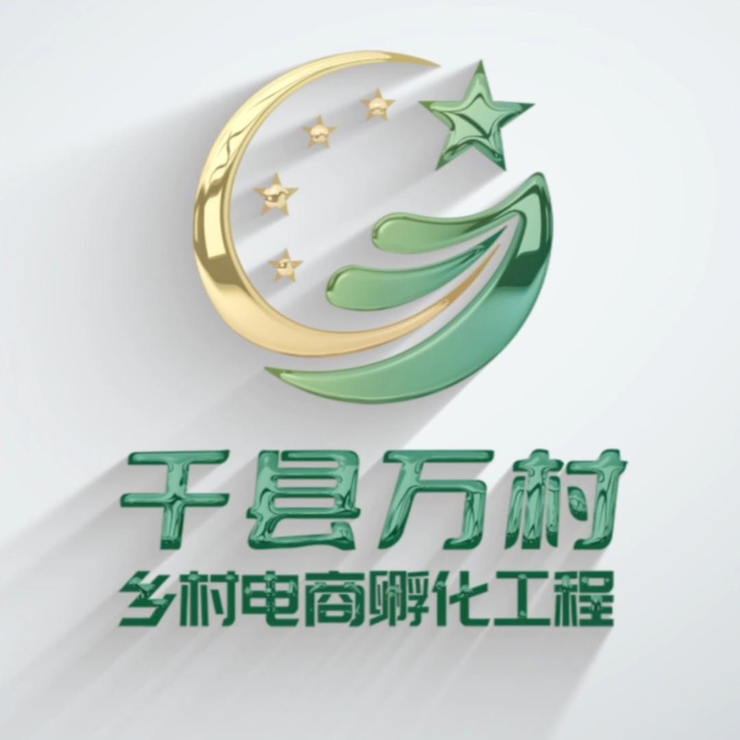 千县万村乡村电商孵化工程