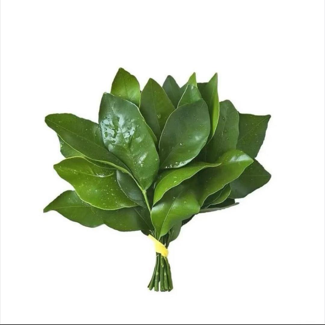 小劉来财✨（好物分享）