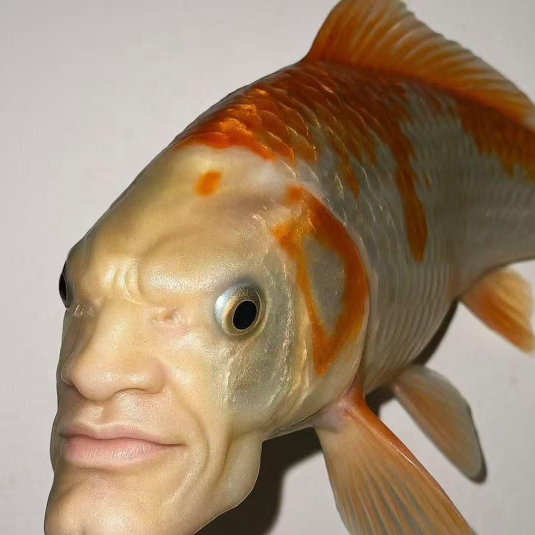 坏天气.𝒯